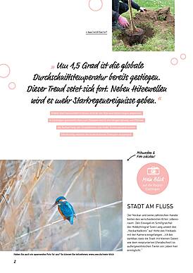 Seite 2