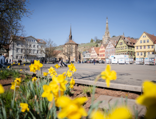 Der Esslinger Marktplatz. Der Esslinger Marktplatz.